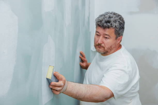 Best Mold Prevention Services  in Cheverly, MD